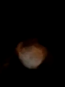 bobbuilder77pl online show from 17, 1, 2025