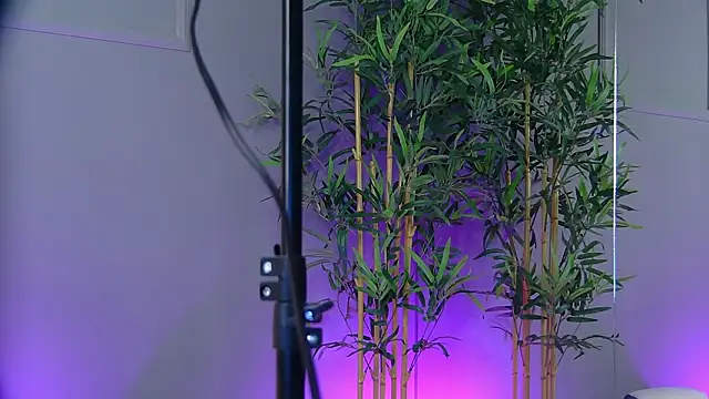 PatriciaSpice online show from 15, 1, 2026