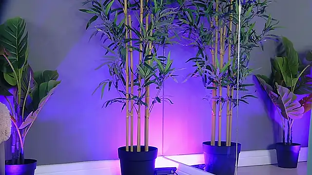 PatriciaSpice online show from 27, 10, 2025