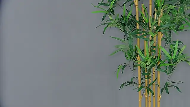 PatriciaSpice online show from 3, 3, 2026