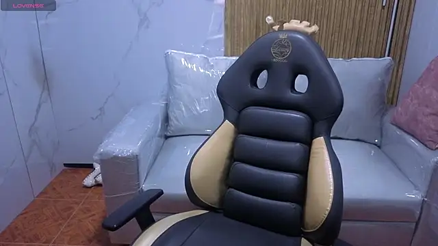 Kitten Cam online show from 22, 12, 2025