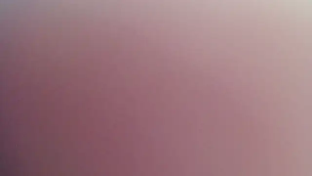 Kitten Cam online show from 29, 4, 2026