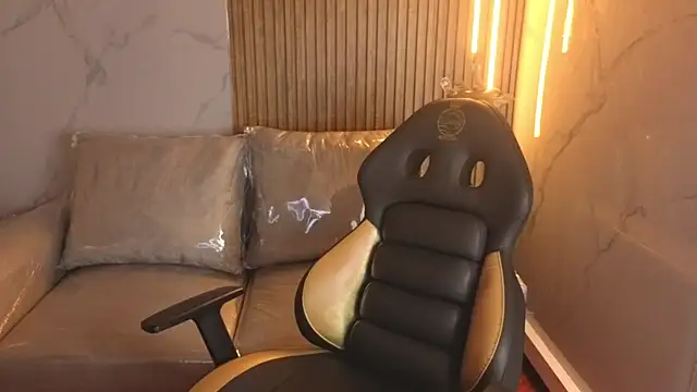 Kitten Cam online show from 26, 11, 2025