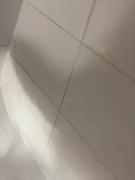 wyattstone online show from 7, 2, 2026