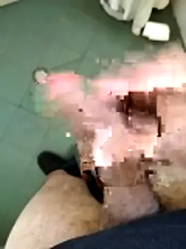 arveia online show from 19, 3, 2026