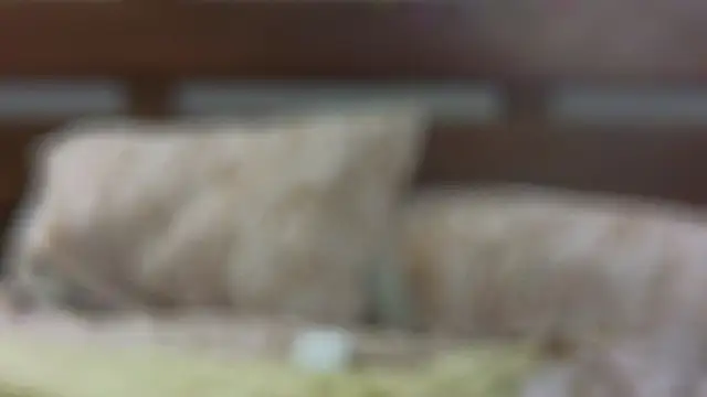 Snapshot of SallyCha chatting on 18, 2, 2025 SallyCha online show from 18, 2, 2025