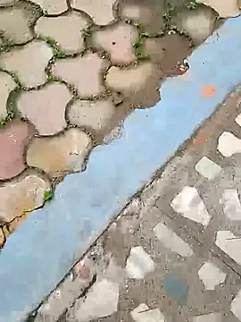 Raj41 online show from 5, 10, 2025