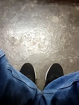 Raj41 online show from 18, 12, 2025