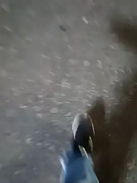 Raj41 online show from 17, 12, 2025