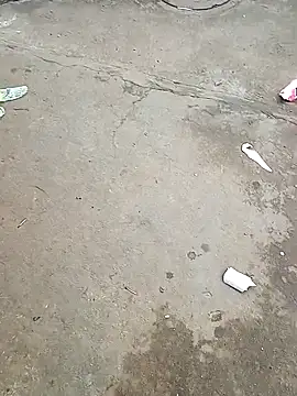 Raj41 online show from 21, 9, 2025