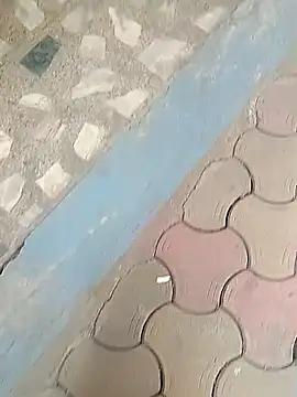 Raj41 online show from 19, 1, 2026