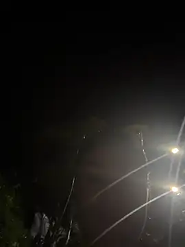 fiorella paris online show from 11, 4, 2026