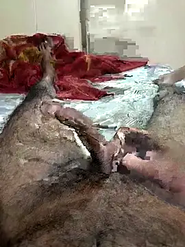 Royyy dandol online show from 25, 2, 2025