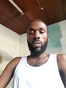 onewinnertee online show from 15, 3, 2026