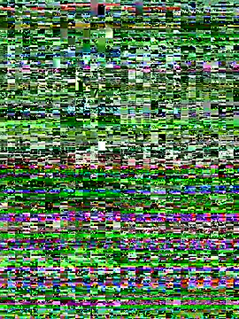 I am babydoll online show from 6, 1, 2026