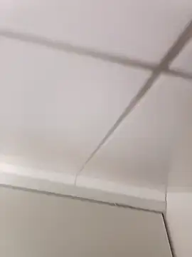 Snapshot of Trixboy201 chatting on 11, 10, 2025 Trixboy201 online show from 11, 10, 2025