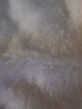 feketedemon36 online show from 25, 1, 2025