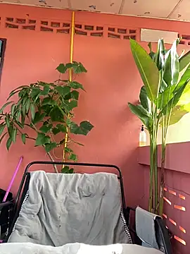 White Lu online show from 23, 4, 2026