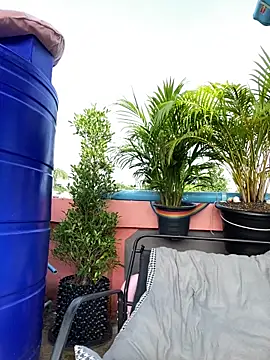 White Lu online show from 15, 3, 2026