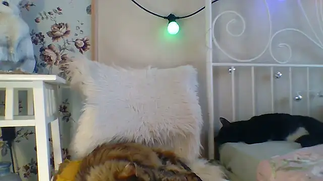 Snapshot of Frankie_Foxie chatting on 18, 2, 2025 Frankie Foxie online show from 18, 2, 2025