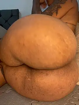 Charlotte bronxxx online show from 8, 11, 2025