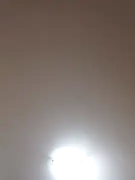 topina8 online show from 19, 4, 2026