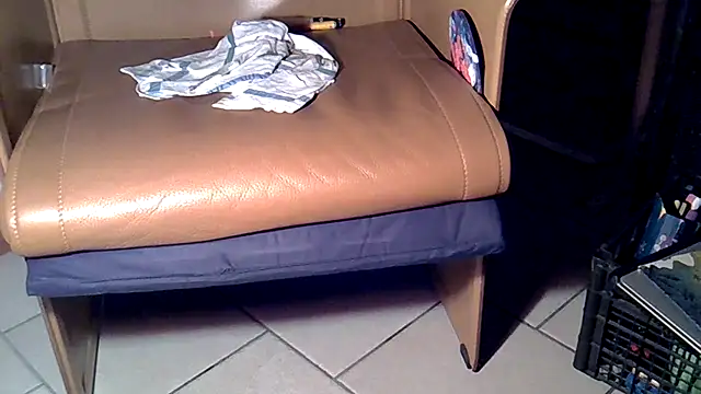 Snapshot of Damn_bro23 chatting on 28, 11, 2025 Damn bro23 online show from 28, 11, 2025