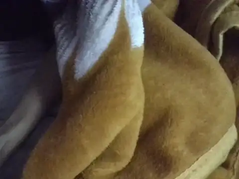 Snapshot of AKANSHA_7 chatting on 1, 12, 2025 AKANSHA 7 online show from 1, 12, 2025