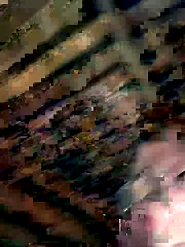 Snapshot of YourNotMySupervisor chatting on 8, 11, 2025 YourNotMySupervisor online show from 8, 11, 2025