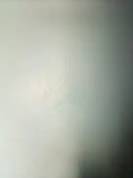 Snapshot of randit7 chatting on 3, 3, 2025 randit7 online show from 3, 3, 2025