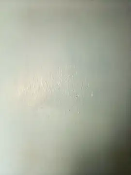 Snapshot of randit7 chatting on 20, 3, 2025 randit7 online show from 20, 3, 2025