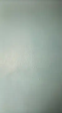 Snapshot of randit7 chatting on 19, 3, 2025 randit7 online show from 19, 3, 2025