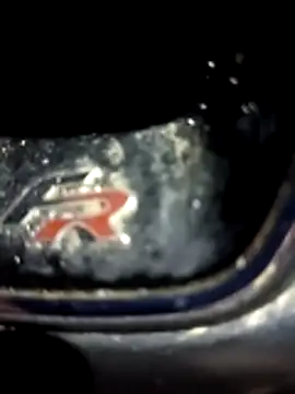 petxxl online show from 1, 12, 2025