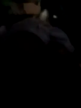 Sbu gold online show from 4, 12, 2025