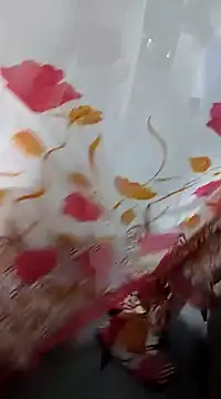 Snapshot of laxmitelugu78 chatting on 4, 2, 2025 laxmitelugu78 online show from 4, 2, 2025