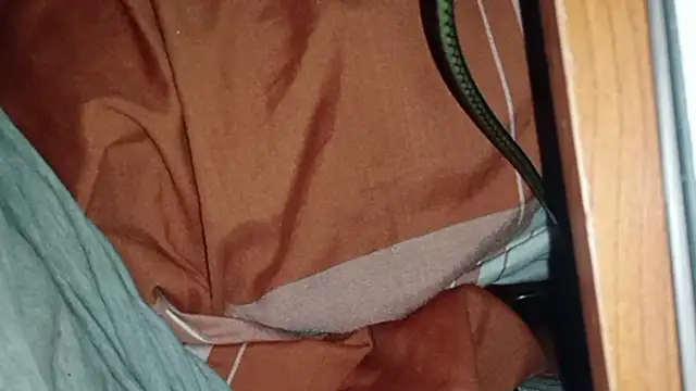 Snapshot of world_bigdick1 chatting on 5, 3, 2025 world bigdick1 online show from 5, 3, 2025