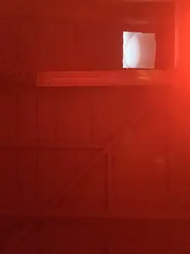 PhattPinxkTaco online show from 28, 4, 2026