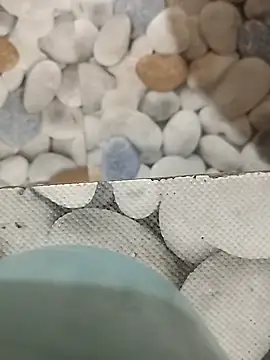 Playboy bhabhi 00 online show from 26, 2, 2025