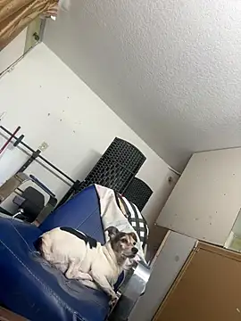 sexyhotstud12 online show from 24, 1, 2025