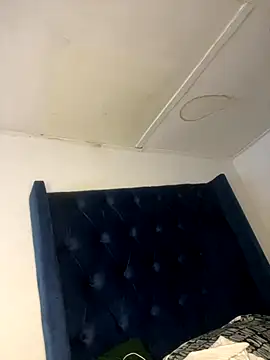 Boneca25 online show from 12, 11, 2025