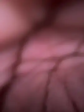 Boneca25 online show from 29, 5, 2026