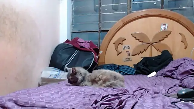 nakedlima online show from 27, 10, 2025