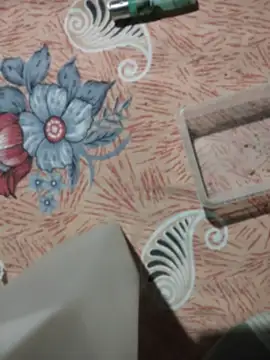 birds0641 online show from 6, 4, 2026