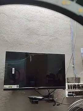 birds0641 online show from 27, 10, 2025