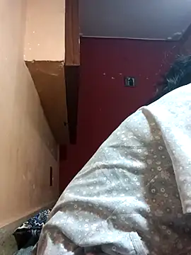 runi31 online show from 19, 3, 2026