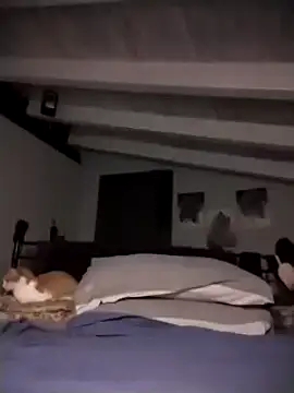 divinaerotica online show from 17, 11, 2025