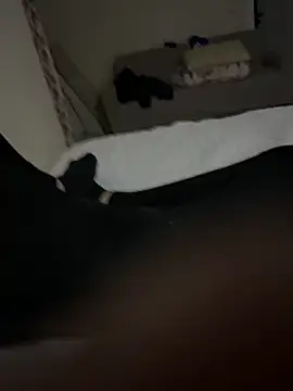 senle12ben2 online show from 3, 2, 2025