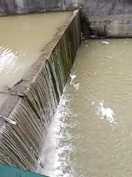 Pourleplasirs online show from 24, 2, 2025