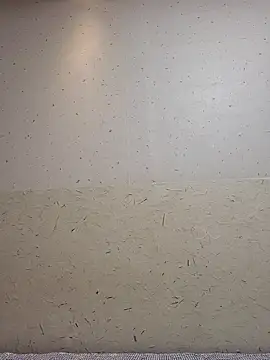 Tyyyggjju online show from 20, 10, 2025