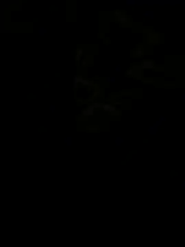 jhonnes  online show from 11, 1, 2026